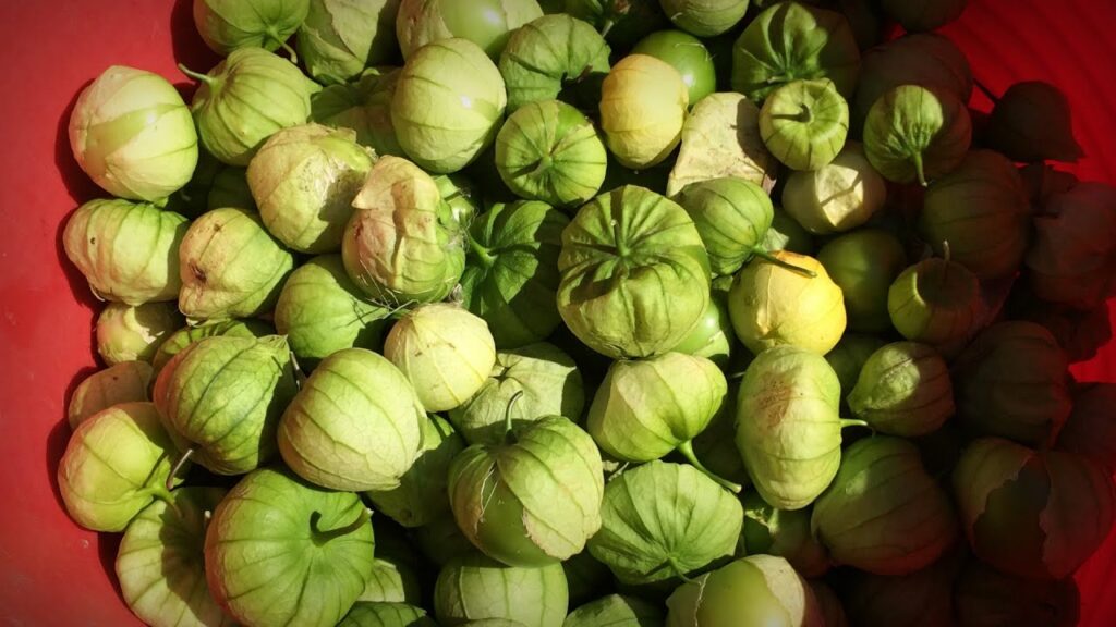 How To Cook With Tomatillos